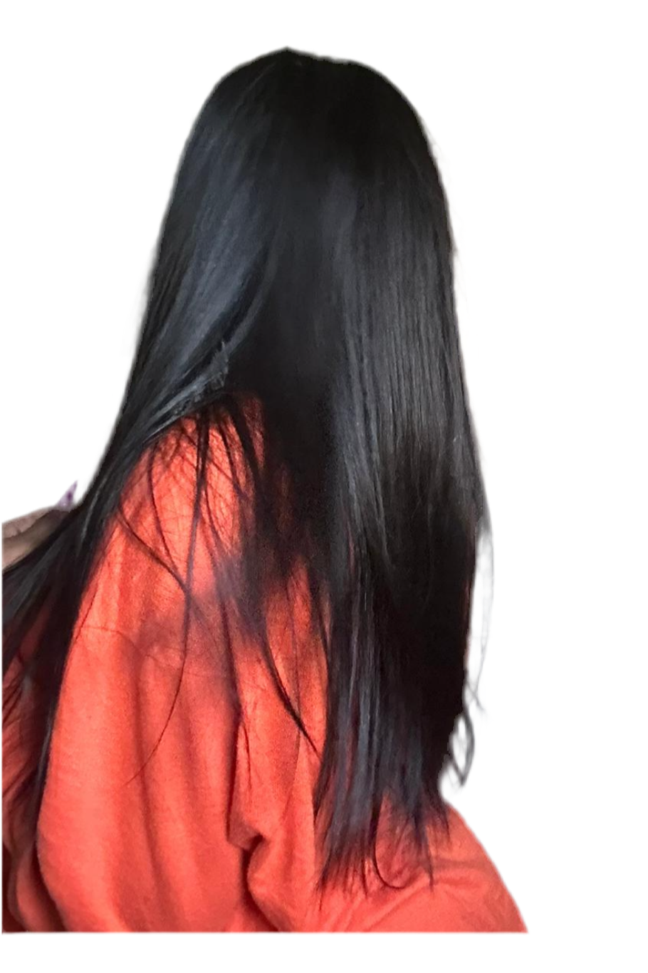 Raw Vietnamese Bundles